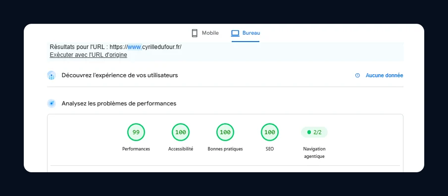 Score Google PageSpeed Insights sur ordinateur : 99/100 en performance, 100 partout ailleurs
