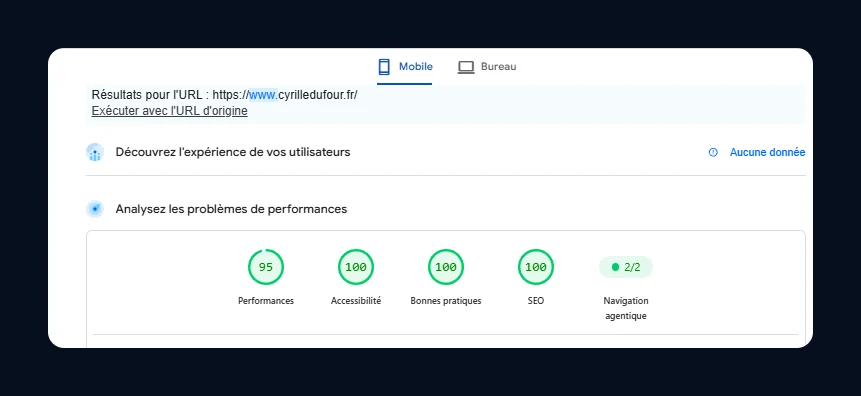 Score Google PageSpeed Insights sur mobile : 95/100 en performance, 100 partout ailleurs